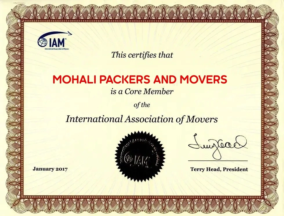 certificates-and-awards-image-653804